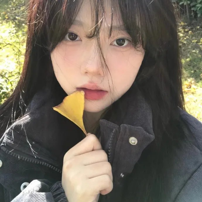 最后的贵族