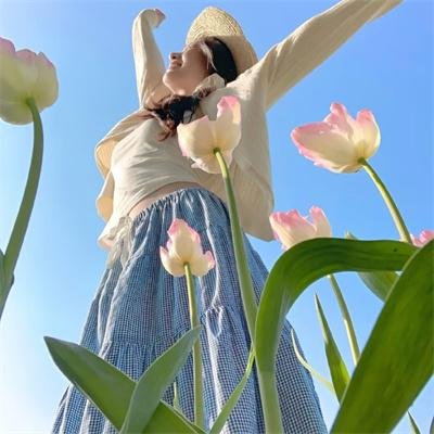 幸运狗狗来造访