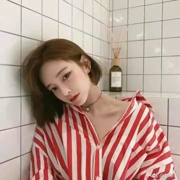 欢迎来到超自然森林